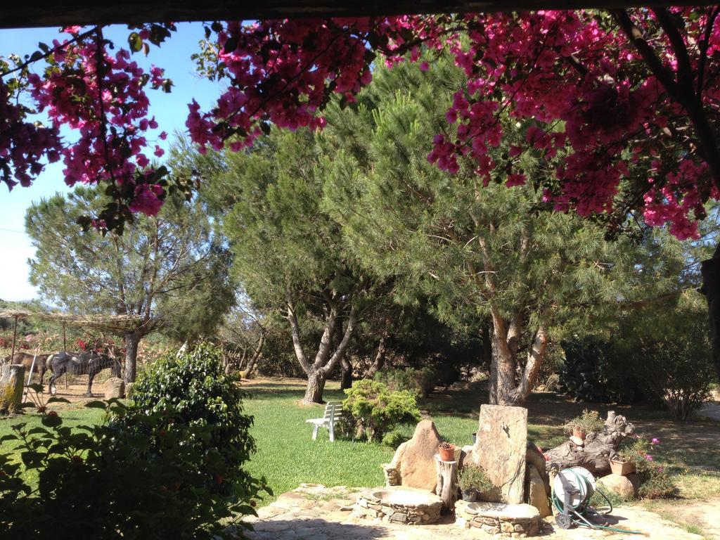 Il Ruscello Villa SantʼAnna Arresi Kamer foto