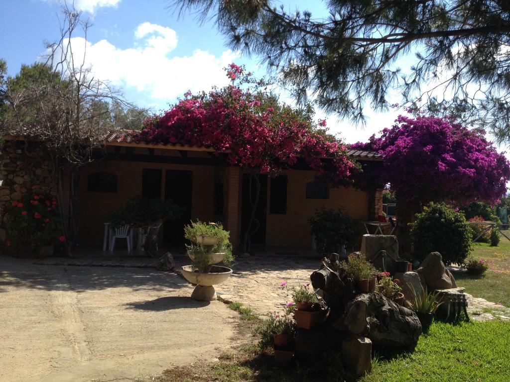 Il Ruscello Villa SantʼAnna Arresi Kamer foto